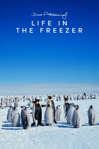 Görsel: TMDB Life in the Freezer afişi