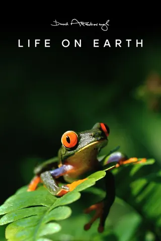 Life on Earth afişi