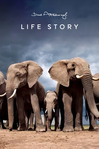 Görsel: TMDB Life Story afişi