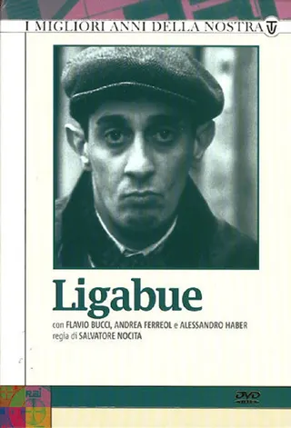 Ligabue afişi