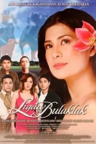 Ligaw na Bulaklak afişi