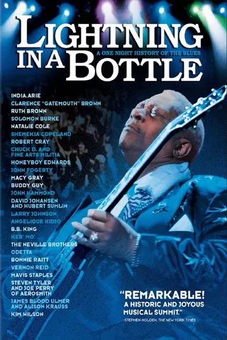 Lightning in a Bottle afişi