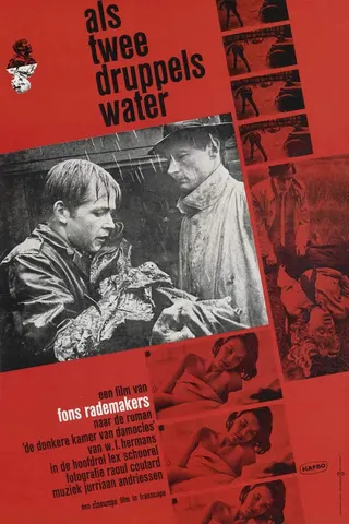 Like Two Drops of Water afişi