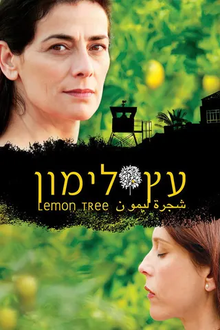 Limon ağacı afişi