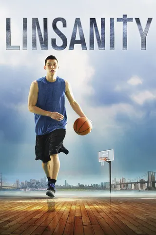 Görsel: TMDB Linsanity afişi