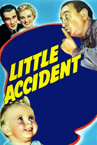 Görsel: TMDB Little Accident afişi