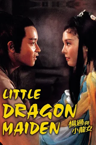 Little Dragon Maiden afişi