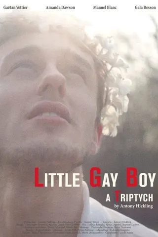 Little Gay Boy afişi