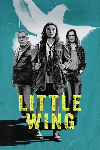 Görsel: TMDB Little Wing afişi
