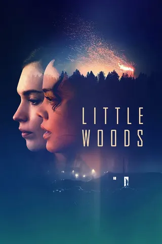 Görsel: TMDB Little Woods afişi