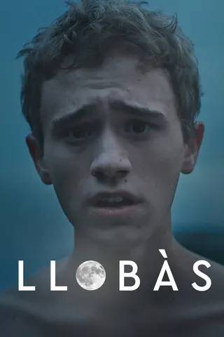 Görsel: TMDB Llobàs afişi