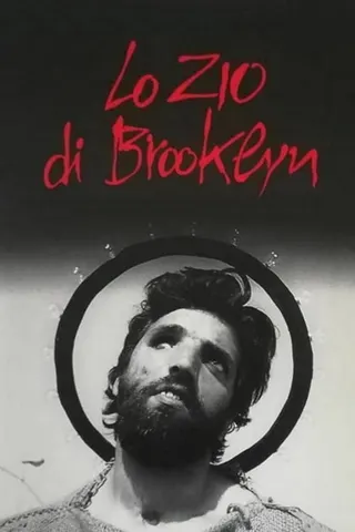 Lo zio di Brooklyn afişi