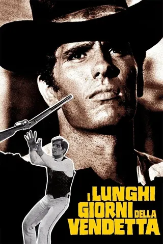 Long Days of Vengeance afişi
