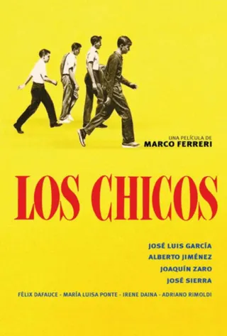 Los chicos afişi