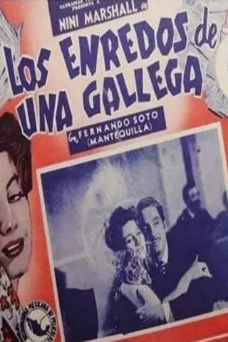 Los enredos de una gallega afişi