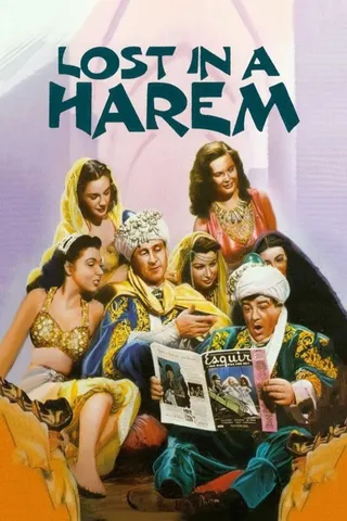 Görsel: TMDB Lost in a Harem afişi