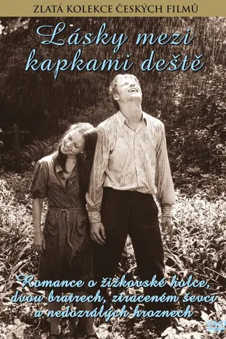 Görsel: TMDB Love Between the Raindrops afişi