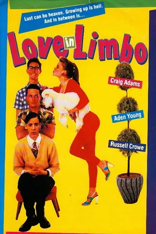 Love in Limbo afişi
