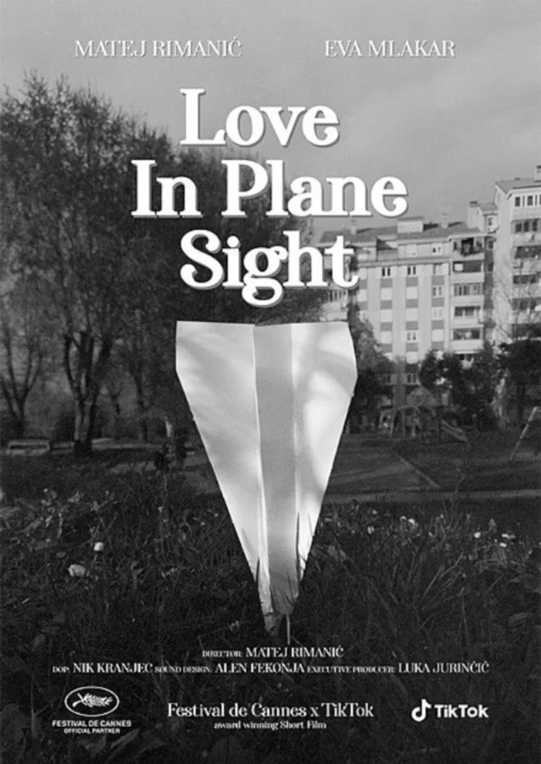 Love In Plane Sight afişi