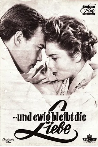 Görsel: TMDB Love is Forever afişi