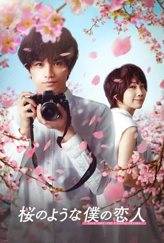 Love Like the Falling Petals afişi