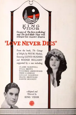 Görsel: TMDB Love Never Dies afişi