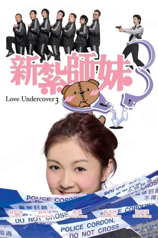 Love Undercover 3 afişi