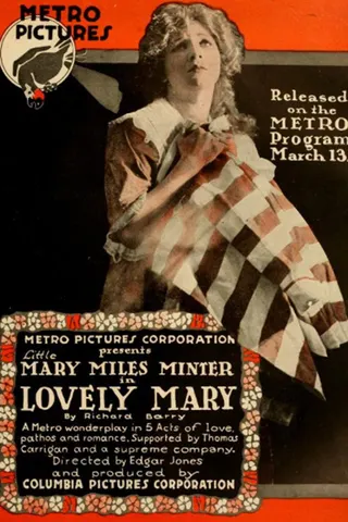Lovely Mary afişi
