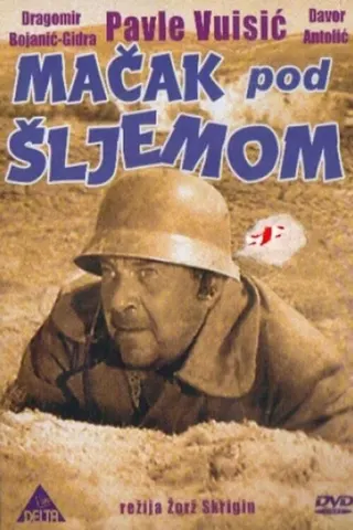 Görsel: TMDB Mačak pod šljemom afişi