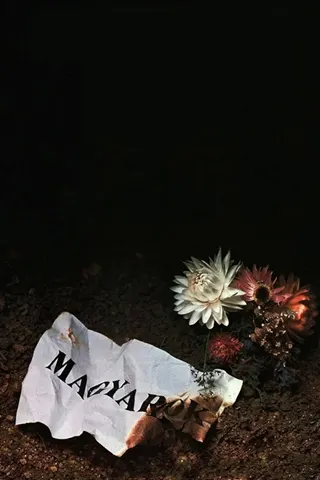 Macarlar afişi