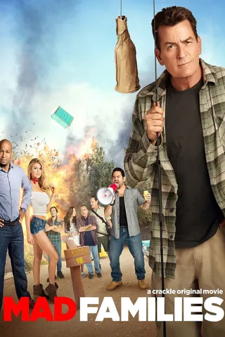 Mad Families afişi