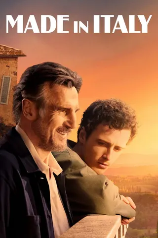 Made in Italy afişi