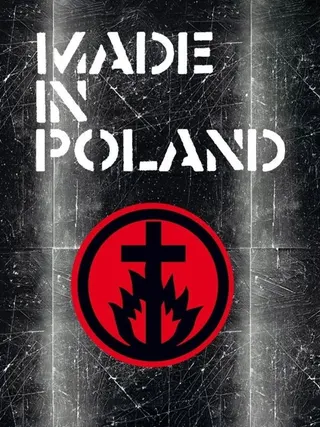 Made in Poland afişi