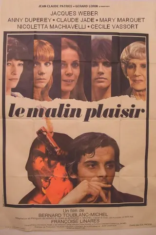 Görsel: TMDB Malicious Pleasure afişi