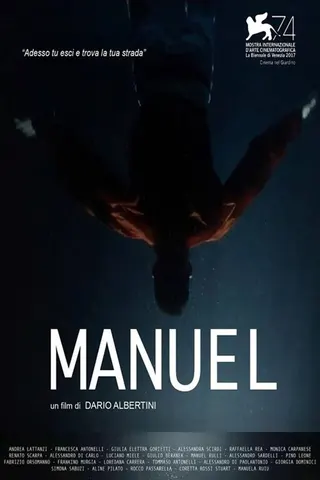 Görsel: TMDB Manuel afişi