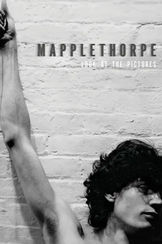 Görsel: TMDB Mapplethorpe: Look at the Pictures afişi