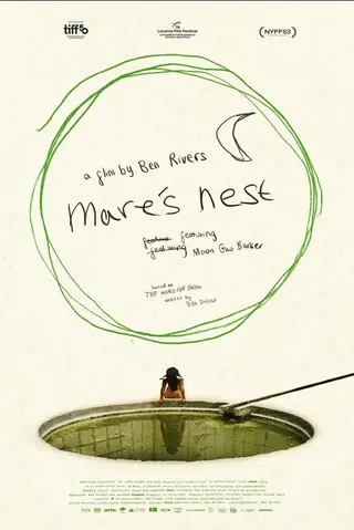 Görsel: TMDB Mare's Nest afişi