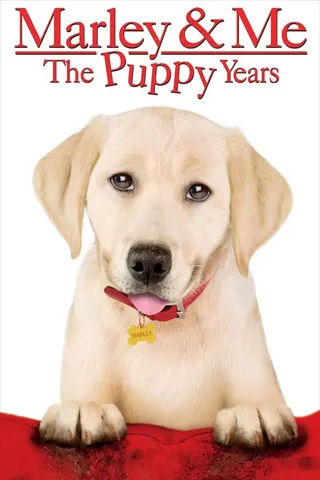 Görsel: TMDB Marley & Me: The Puppy Years afişi