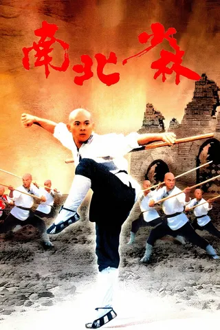 Martial Arts of Shaolin afişi