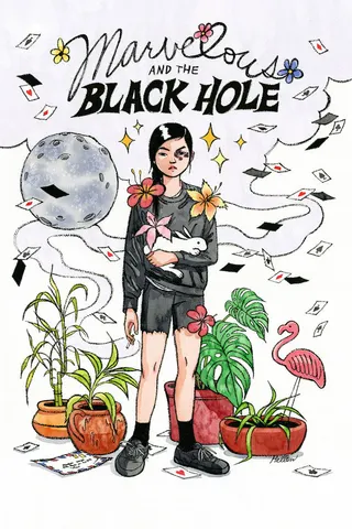 Marvelous and the Black Hole afişi