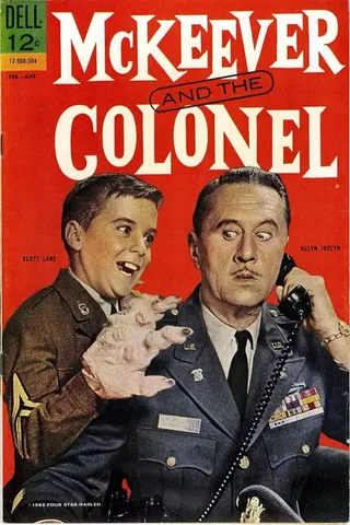 McKeever and the Colonel afişi