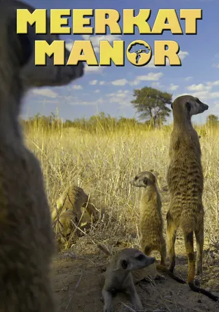 Görsel: TMDB Meerkat Manor afişi