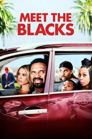 Meet the Blacks afişi