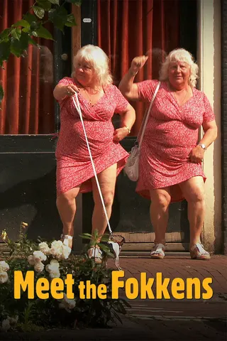 Meet the Fokkens afişi