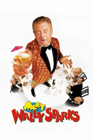 Görsel: TMDB Meet Wally Sparks afişi
