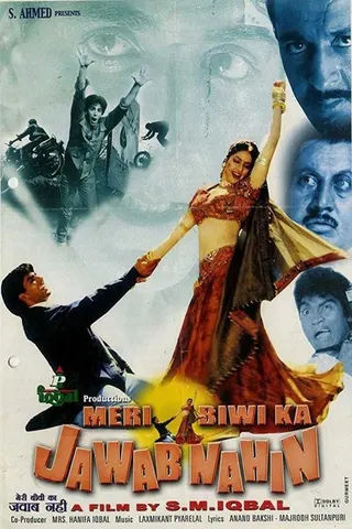 Meri Biwi Ka Jawaab Nahin afişi