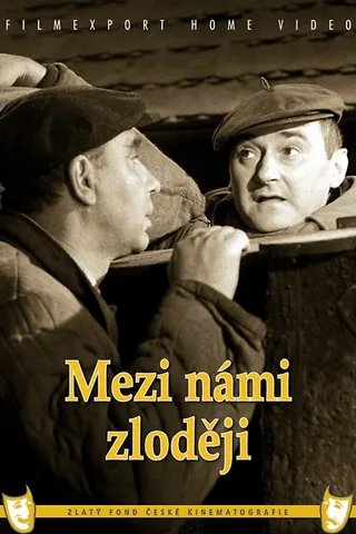 Görsel: TMDB Mezi námi zloději afişi