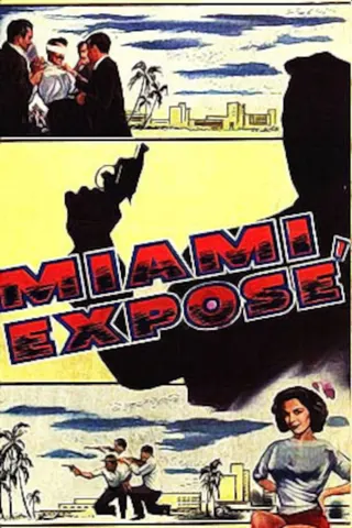 Görsel: TMDB Miami Exposé afişi
