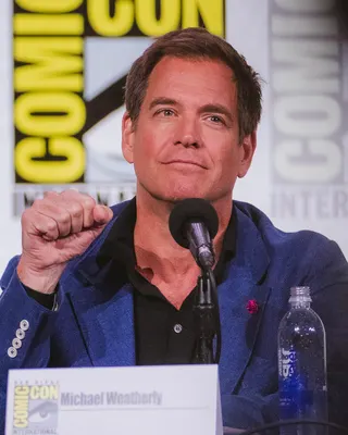 Michael Weatherly