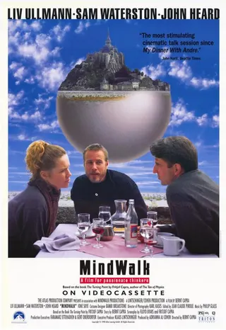 Görsel: TMDB Mindwalk afişi